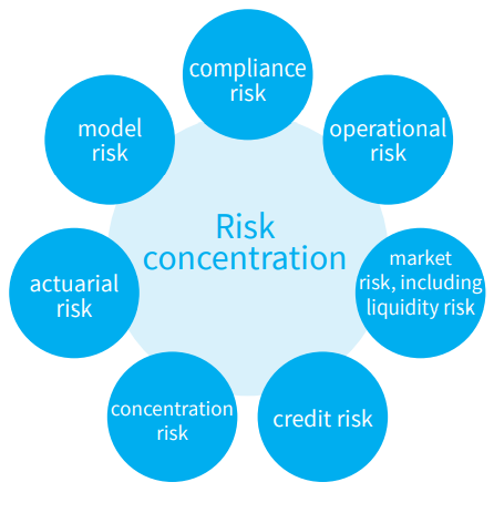 Major risks in the PZU Group 