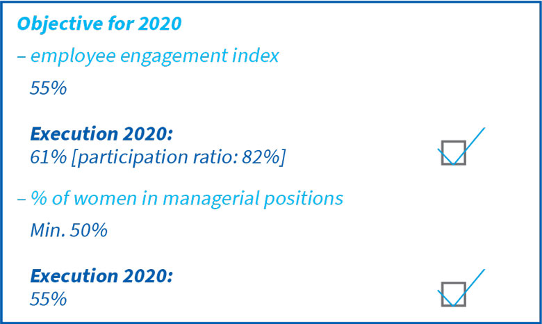 Status of the execution of the strategic assumptions