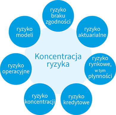 Główne ryzyka w Grupie PZU